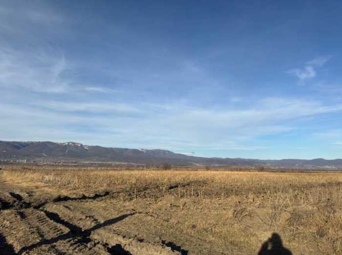 Land For Sale. Sagarejo