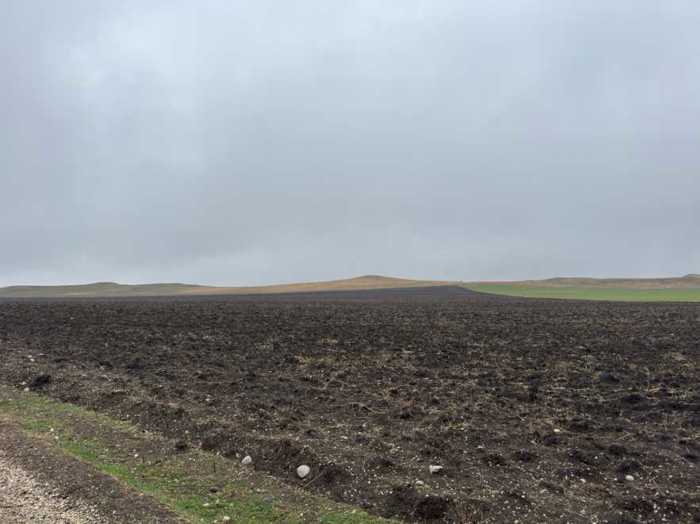 Land For Sale. Dedoplistskaro