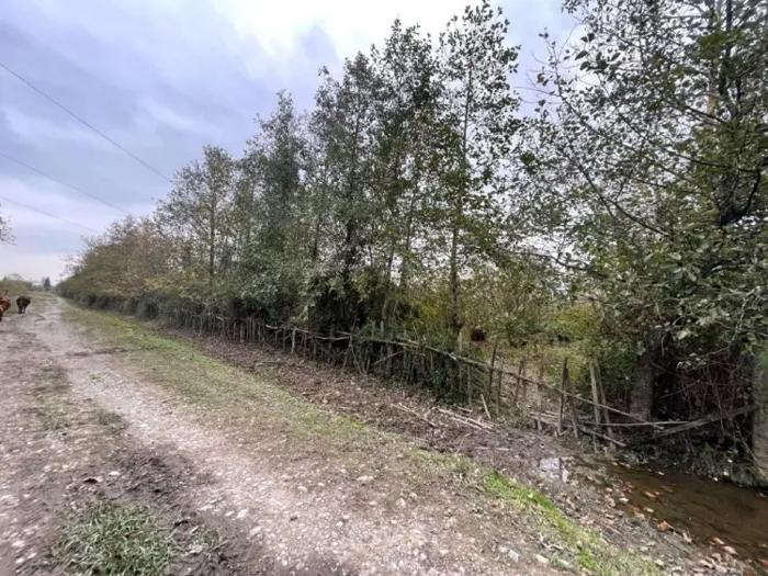 Land For Sale. Ganmukhuri