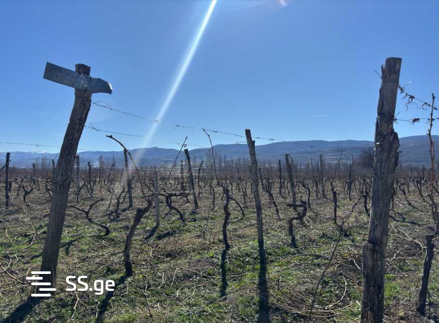 Land For Sale. Akhmeta view 3