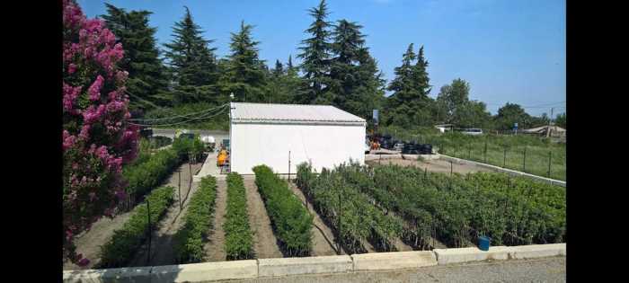 Commercial space For Sale. Akhasheni