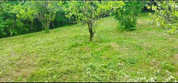 Land For Sale. Charnali