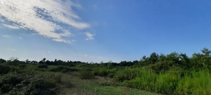 Land For Sale. Ganmukhuri