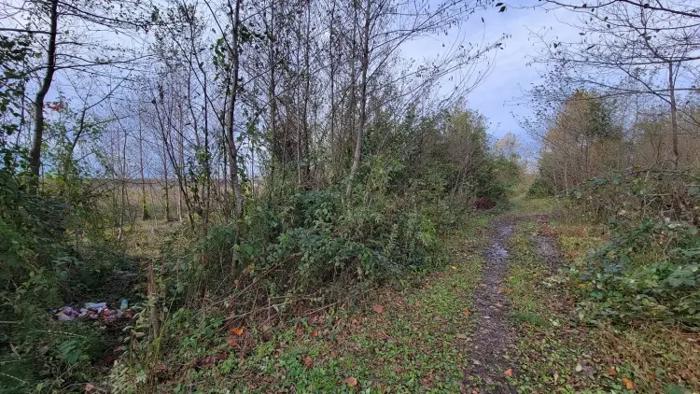 Land For Sale. Zemo Natanebi