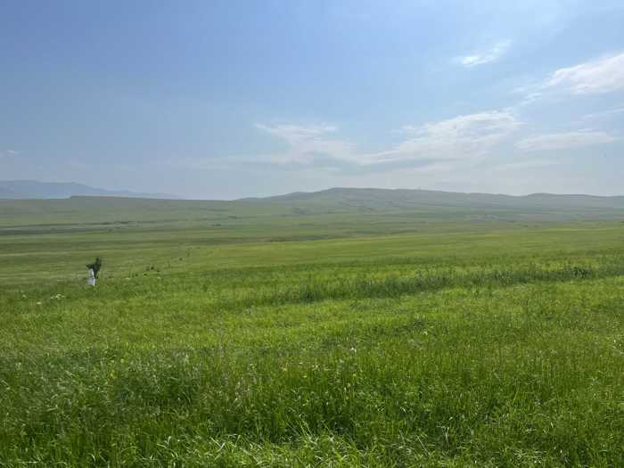 Land For Sale. Sagarejo