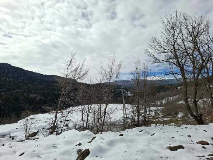 Land For Sale. Mlashe