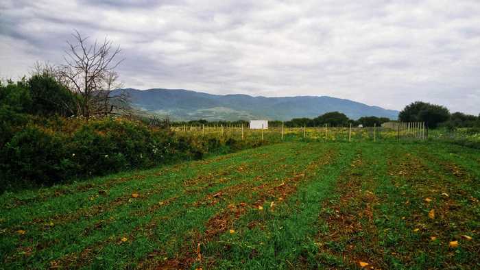 Land For Sale. Magraneti