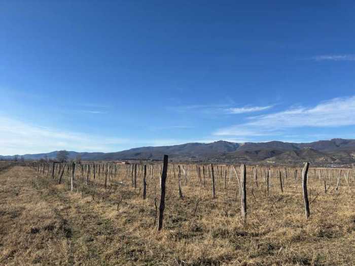 Land For Sale. Sagarejo