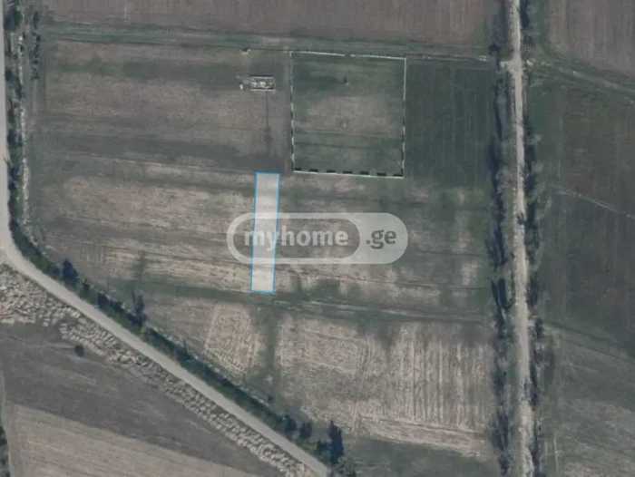 Land For Sale. Mukhrani