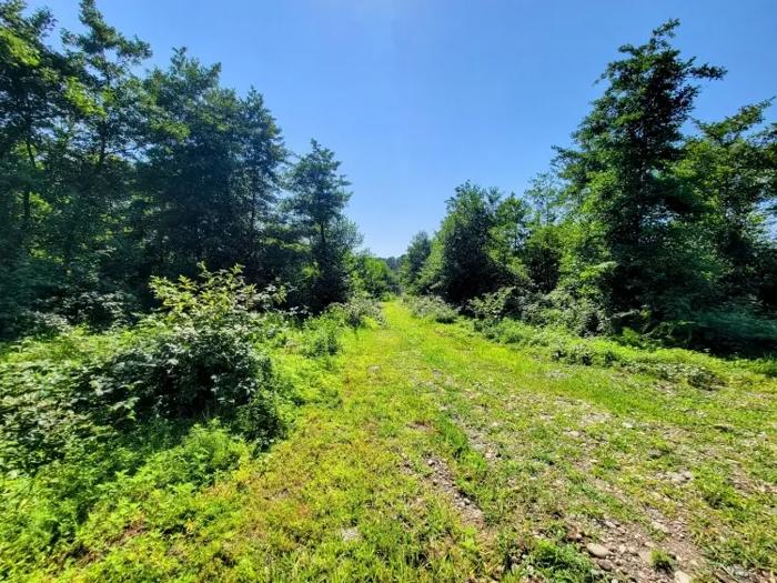 Land For Sale. Ureki