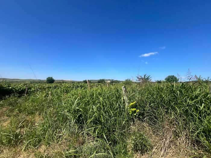 Land For Sale. Sagarejo