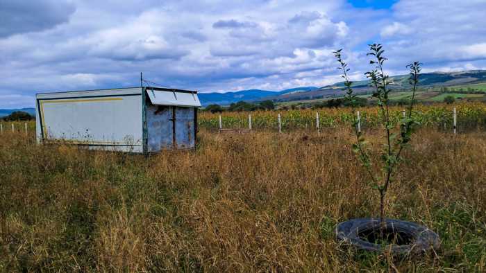 Land For Sale. Magraneti