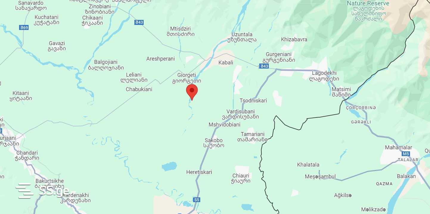For Sale Sasoplo-Sameurneo Land Plot Lagodekhshi view 8