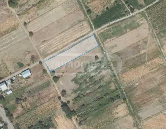 Land For Sale. Sartichala