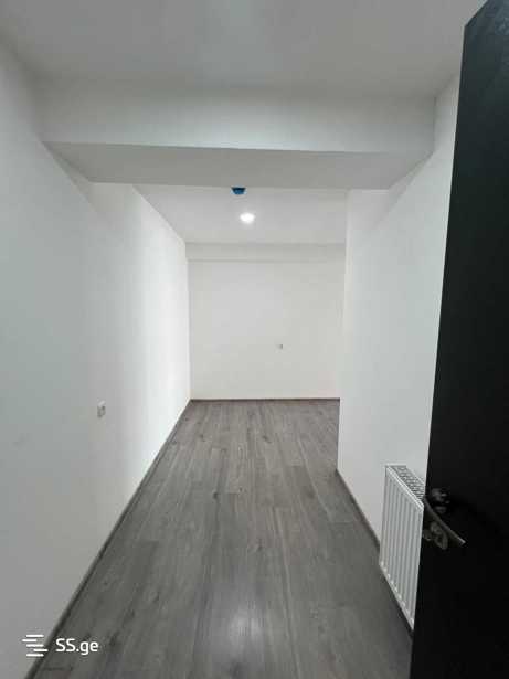 https://static.ss.ge/20260305/1_f3a76213-4301-401d-9248-31199f35dae8_Thumb.jpg