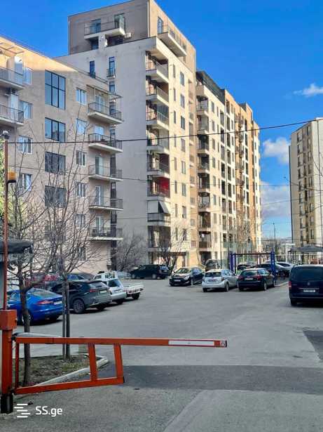 https://static.ss.ge/20260305/3_a1d618e6-b0ff-4f8a-82cd-721d146df3dc_Thumb.jpg