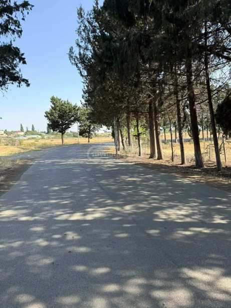 Land For Sale. Nasaguri