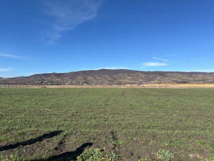 Land For Sale. Sagarejo