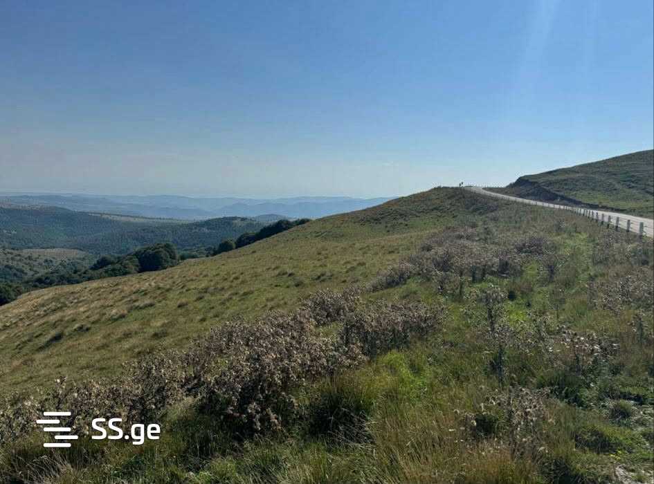Land For Sale. Orbeti view 3