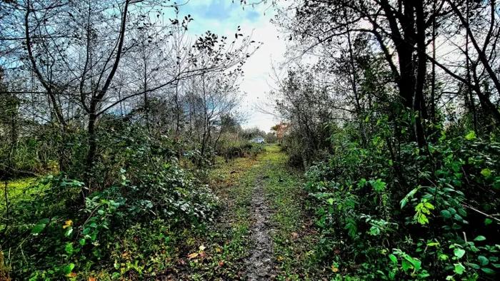 Land For Sale. Zemo Natanebi