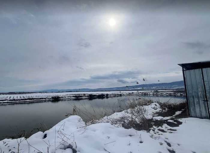 Land For Sale. Signagi