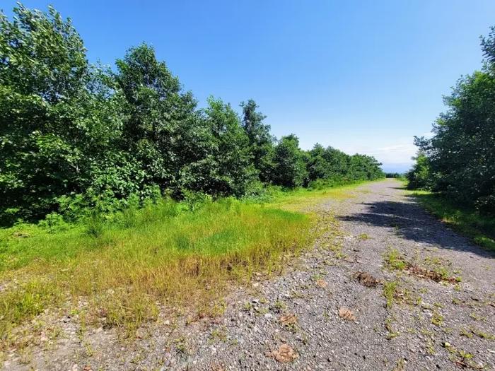 Land For Sale. Ureki