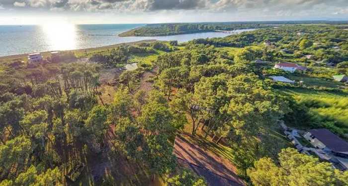 Land For Sale. Ureki