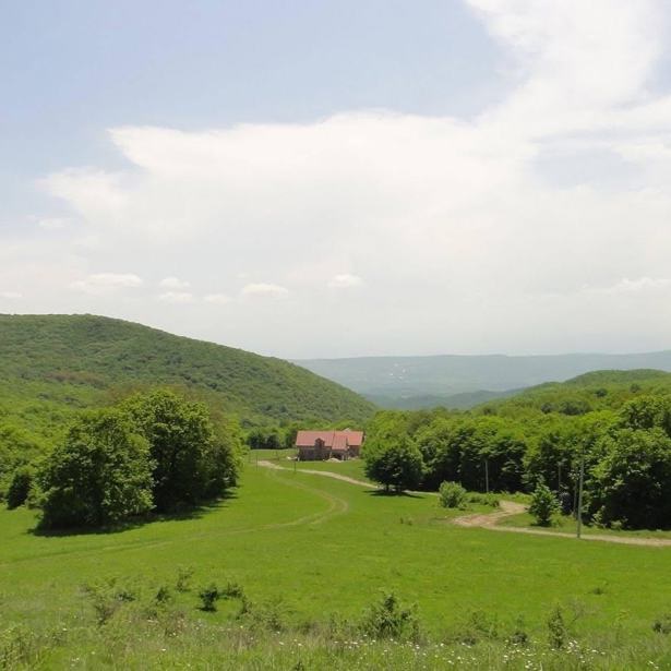 Land For Sale. Tetritskaro