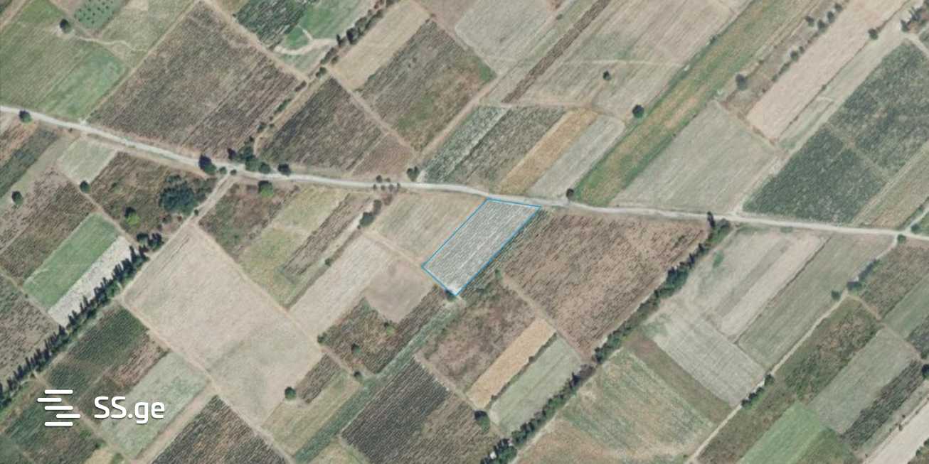 Agricultural Plot For Sale In Akhmeta view 11