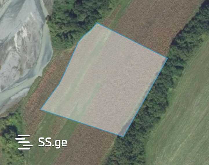 For Sale Sasoplo-Sameurneo Land Plot Lagodekhshi view 7
