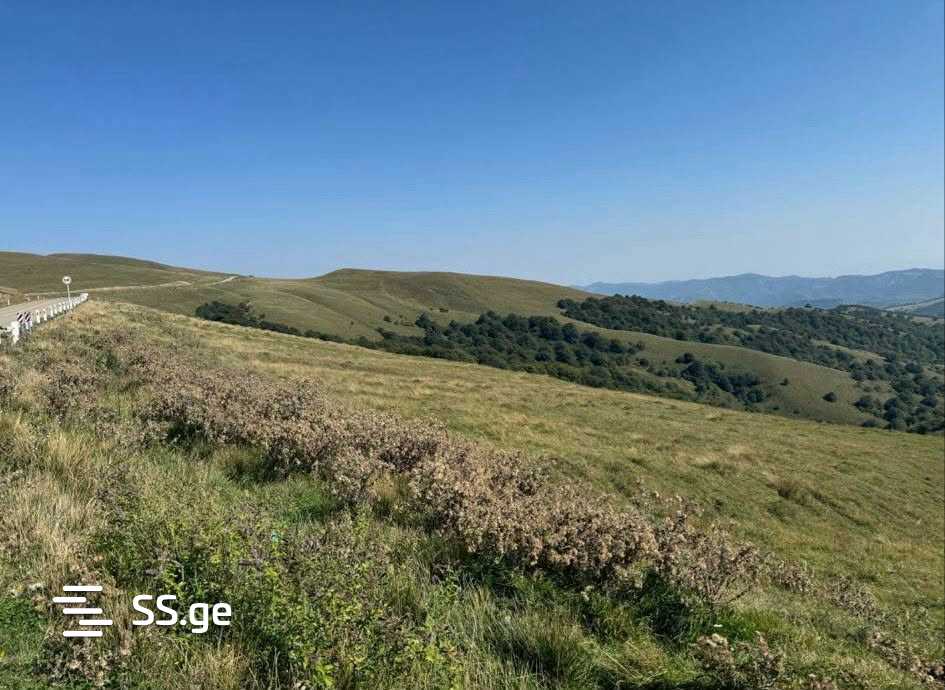 Land For Sale. Orbeti view 1