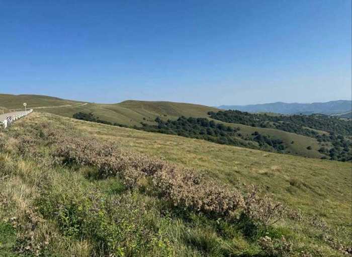 Land For Sale. Orbeti