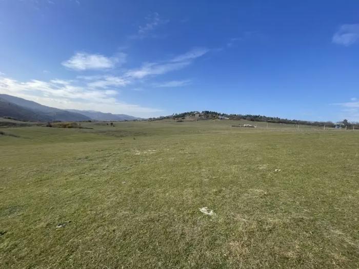 Land For Sale. Manglisi