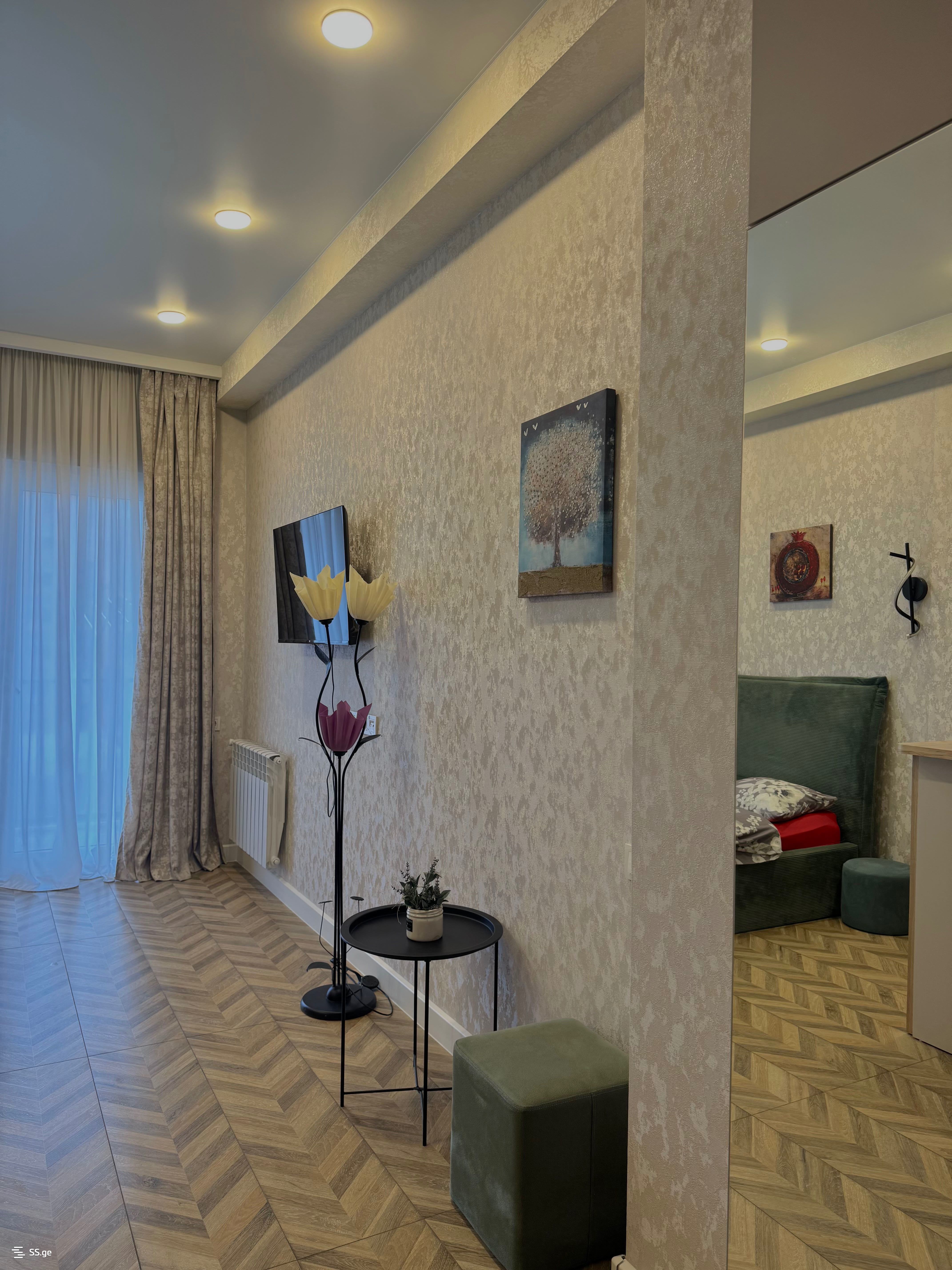 1 room Flat Daily rent. Didi digomi - Ansicht 4