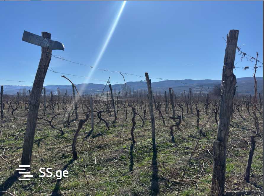 Land For Sale. Akhmeta view 1