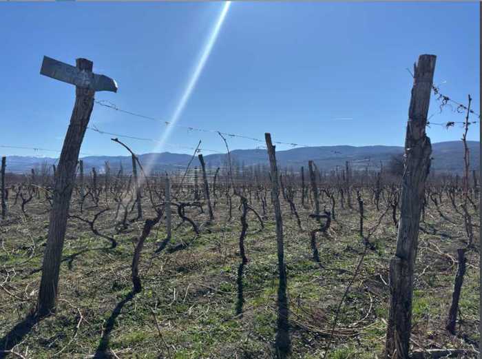 Land For Sale. Akhmeta