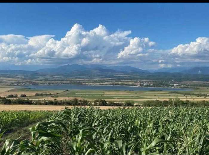 Land For Sale. Mlashe