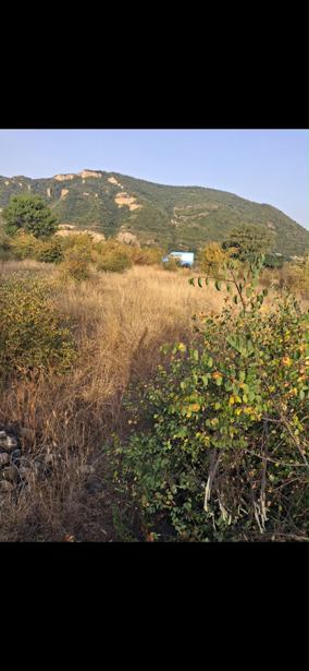 Land For Sale. Bulachauri