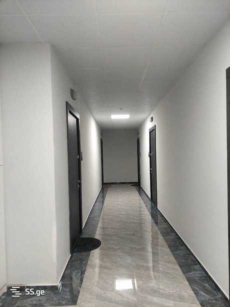 https://static.ss.ge/20260306/10_e7ce68b9-0636-4291-a49c-74445e77e8cc_Thumb.jpg