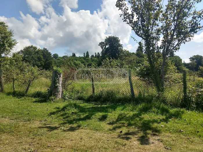 Land For Sale. Shekvetili