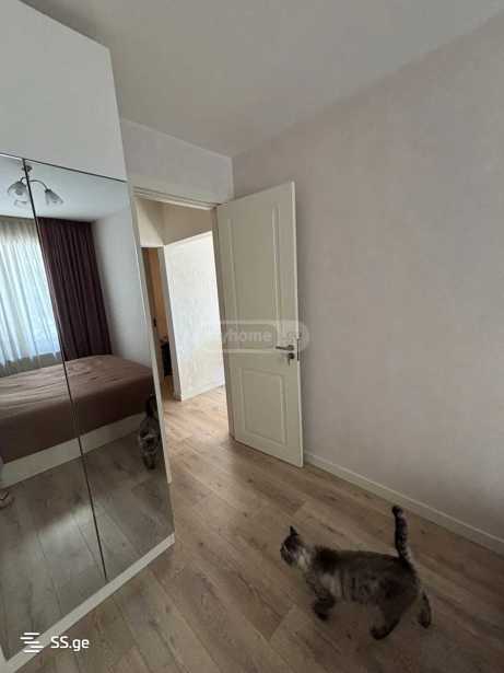 https://static.ss.ge/20260306/14_bc4222b5-f3d7-46c7-b750-1c023713d789_Thumb.jpg
