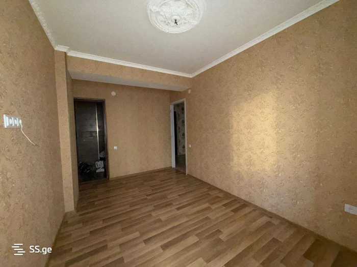 https://static.ss.ge/20260306/16_389fa92c-eee6-49c3-8966-5d767550d314_Thumb.jpg
