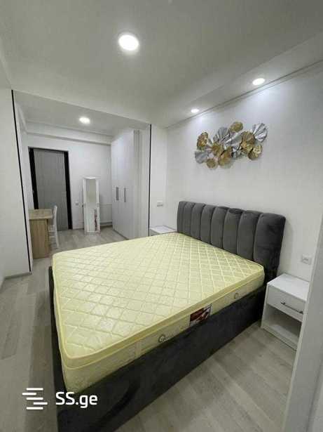 https://static.ss.ge/20260306/17_0be6c58e-3f4c-4fa7-8522-ab52770b2869_Thumb.jpg