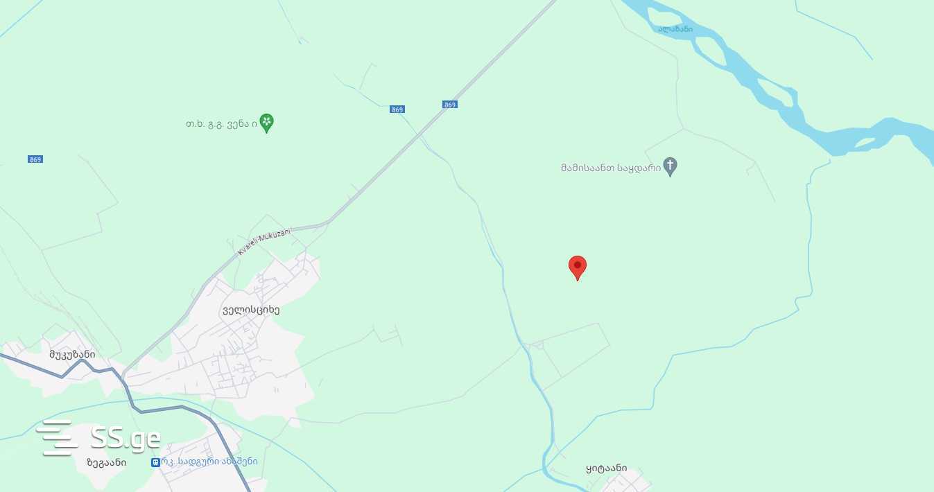 Land For Sale. Gurjaani view 5