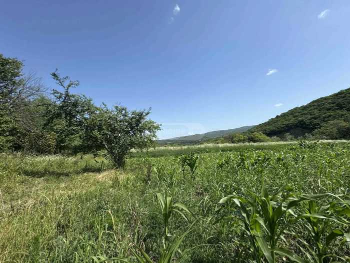 Land For Sale. Tetritskaro