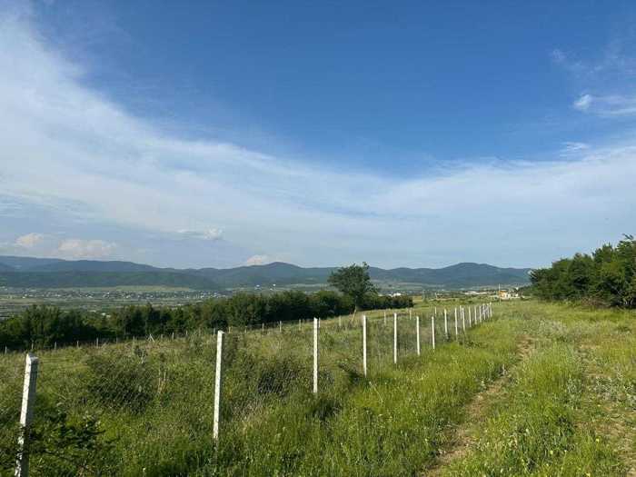 Land For Sale. Akhalsopeli