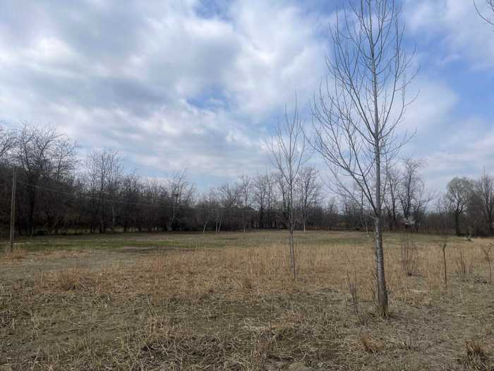 Land For Sale. Sagarejo