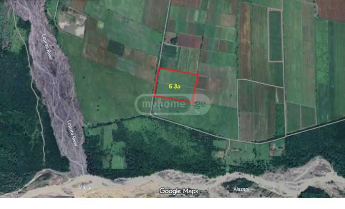 Land For Sale. Napareuli