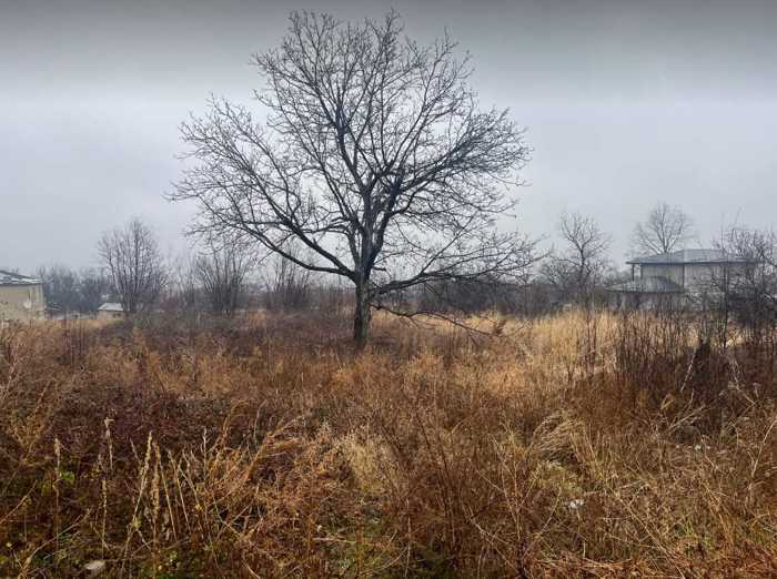 Land For Sale. Kurdghelauri