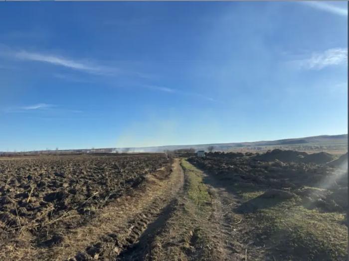 Land For Sale. Sagarejo